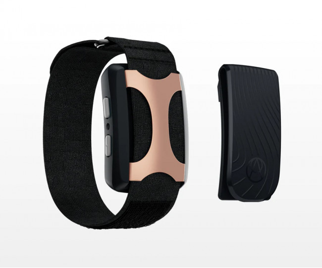 Браслет Apollo Neuro Wearable (Twilight) + передплата на 12 місяців